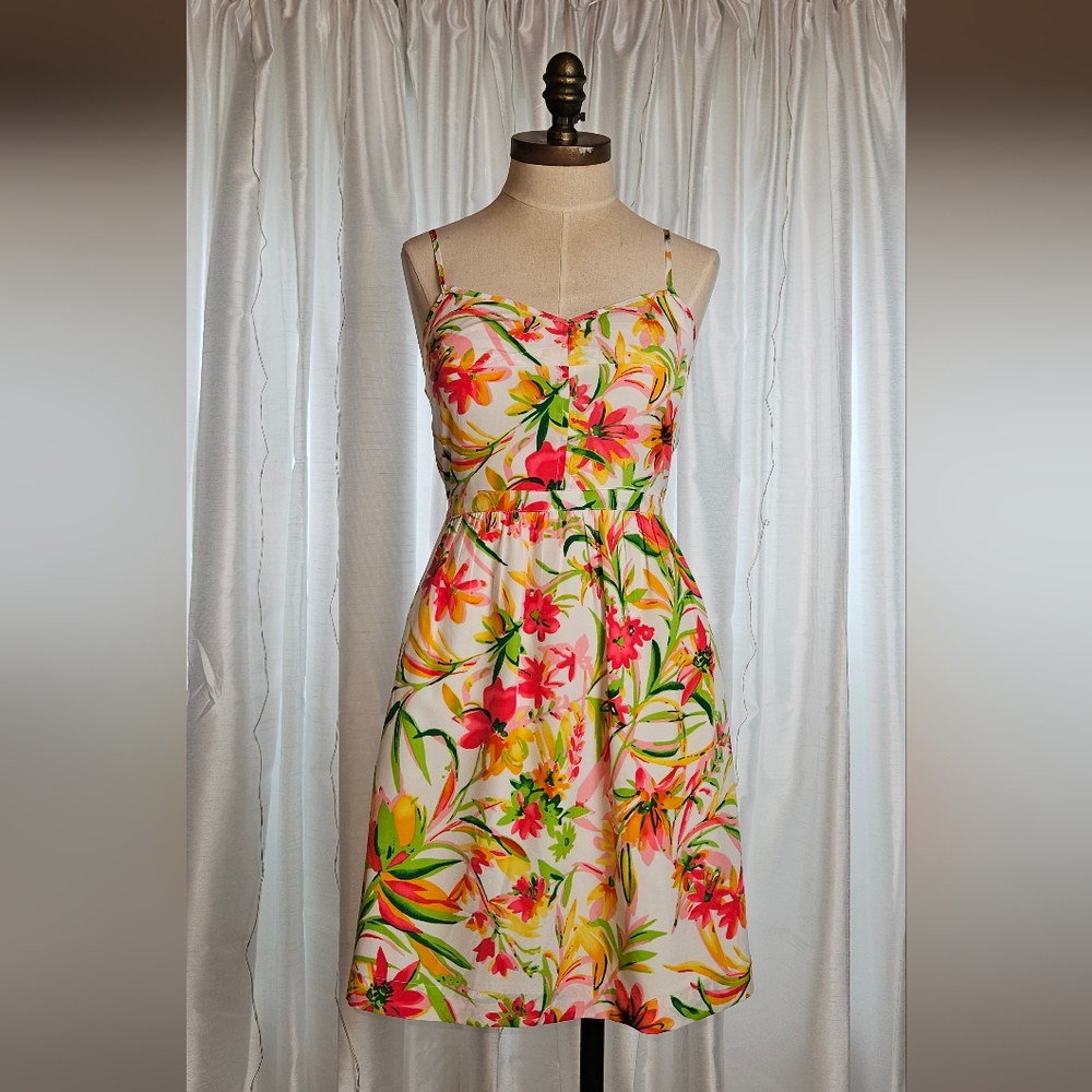 J.Crew Dress